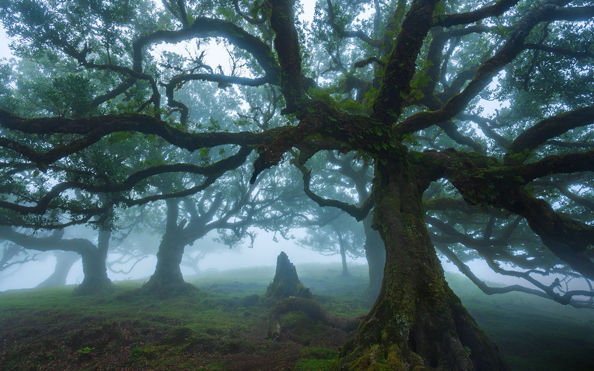又有快一个星期没有写东西了吧：）